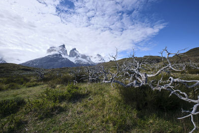 Scenic view of landscape and mountains against sky