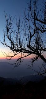 Silhouette bare tree against sky during sunset