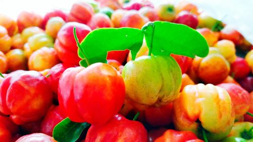 Close-up of multi colored pencils