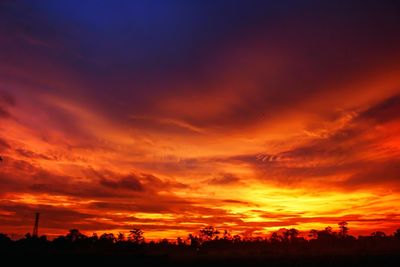 Silhouette trees on field against orange sky