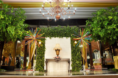 Statue of illuminated potted plants against building