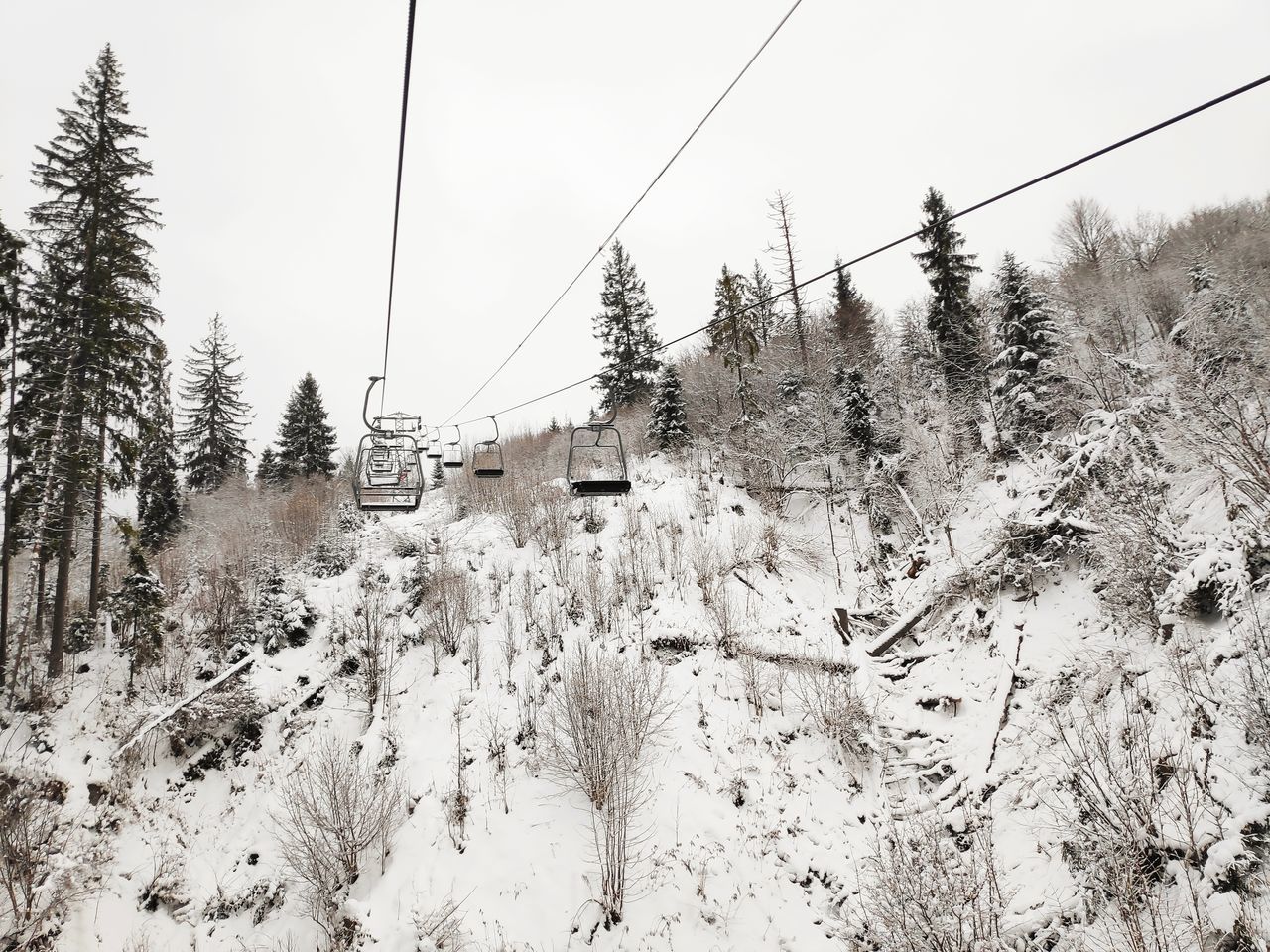 snow, winter, cold temperature, tree, plant, cable car, nature, cable, land, ski lift, covering, day, overhead cable car, sky, non-urban scene, transportation, scenics - nature, beauty in nature, mountain, no people, electricity, track, outdoors, snowcapped mountain, pine tree