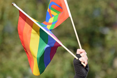 Cropped hand of person holding rainbow flags