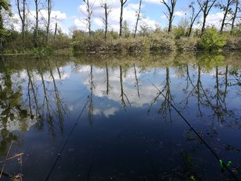 Reflection of trees in lake against sky