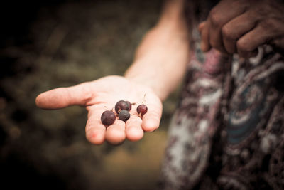 Close-up of hand holding berries