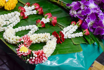 High angle view of pink flowering plants