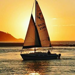 Sailboat sailing in sea at sunset