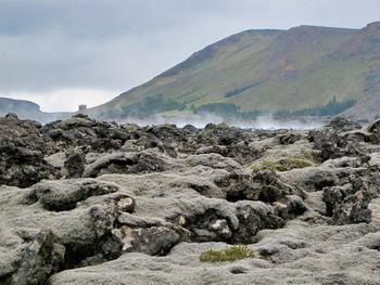 Scenic view of lichens against sky