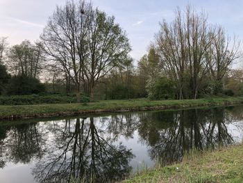 Reflection of trees in lake against sky