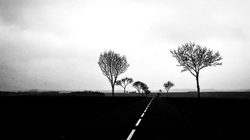 Bare tree by road against clear sky