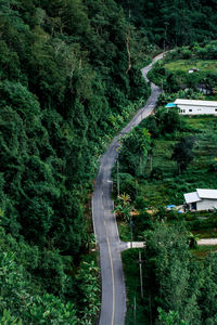 High angle view of road amidst trees in forest