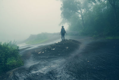 Rear view of woman standing on street amidst trees