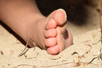 Low section of baby feet on sand