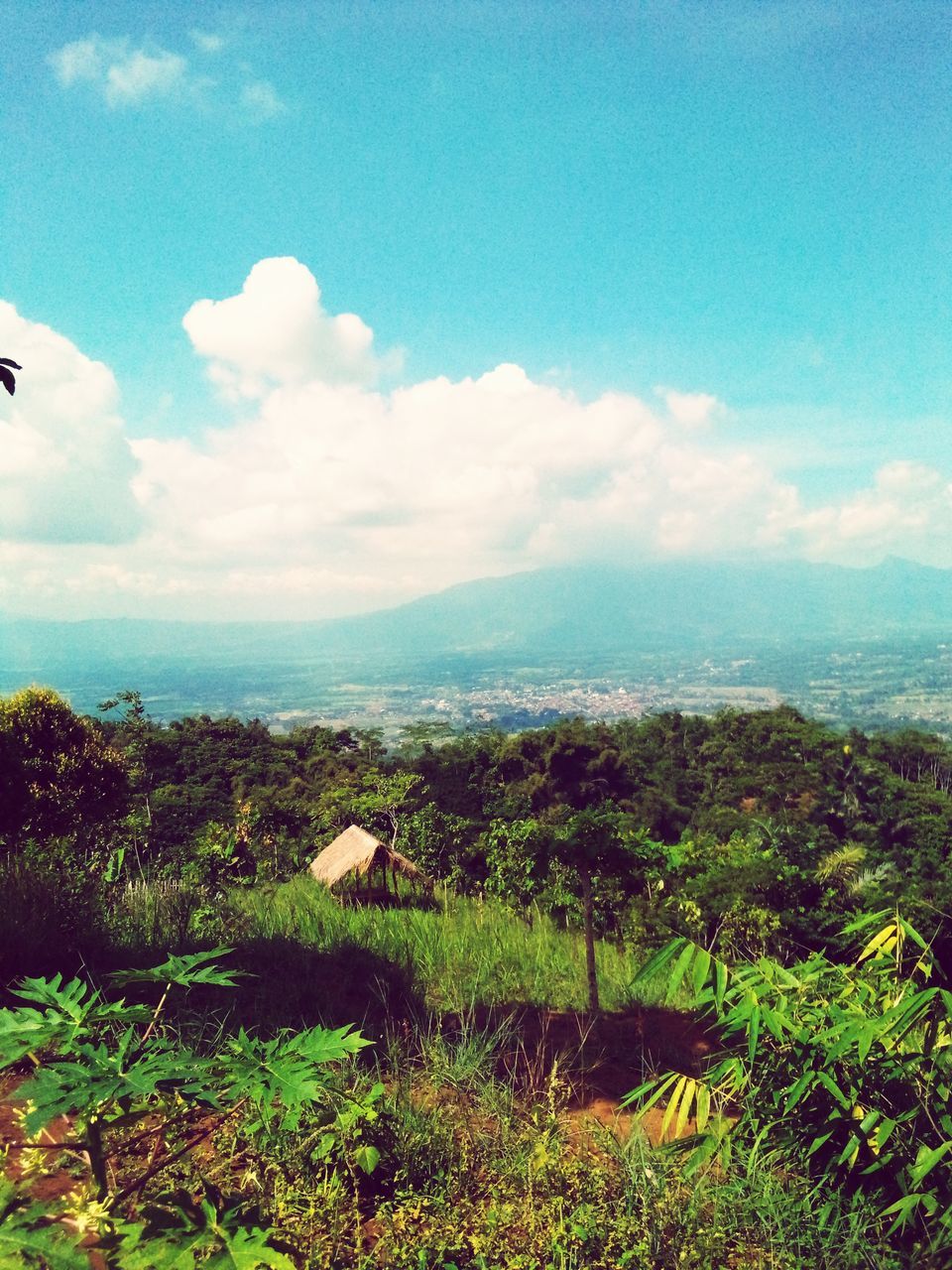 VIEW OF GREEN LANDSCAPE AGAINST SKY