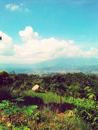 Scenic view of landscape against sky