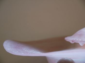 Close-up of insect on hand