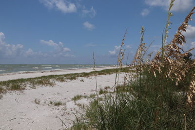 Scenic view of beach against sky