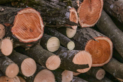 Full frame shot of logs