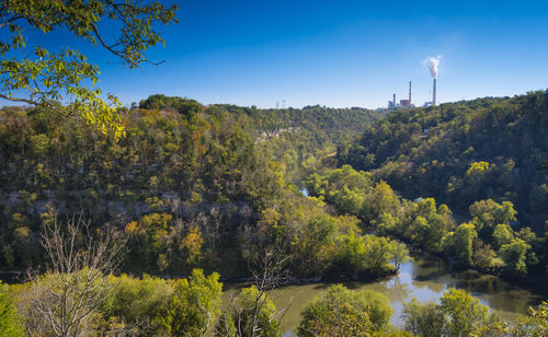 Scenic view of lake amidst trees against sky