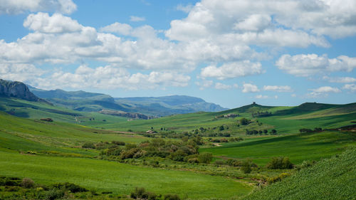 Scenic view of agricultural field against sky