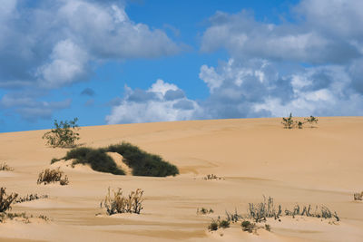 Scenic view of desert against sky