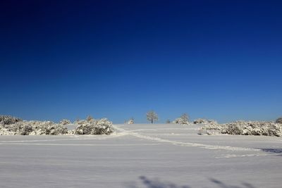 Scenic view of beach against clear blue sky