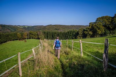 Rear view of man standing on grassy field