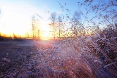 Scenic view of snowy field against sky during sunset