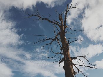 Low angle view of bare tree against cloudy sky