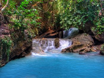 Scenic view of waterfall in forest