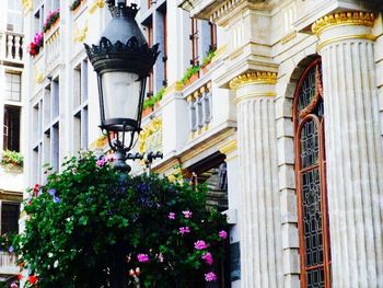 Low angle view of flowers in building