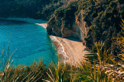 High angle view of sea and trees