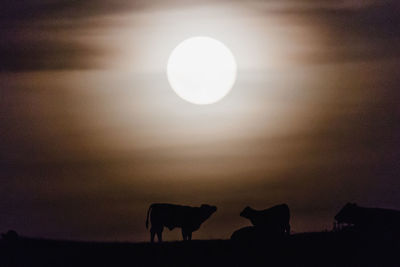 Silhouette cow against sky during sunset