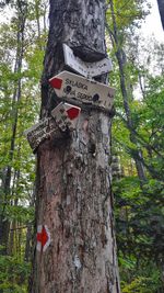 Low angle view of text on tree trunk in forest