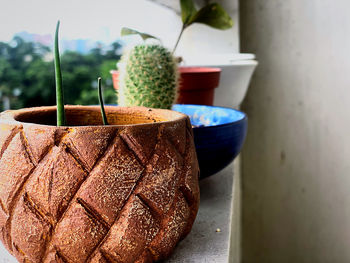 Close-up of potted plant on table