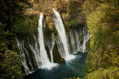 High angle view of waterfall in rainforest