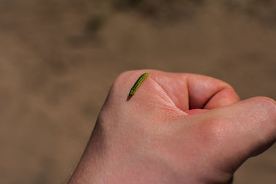 Close-up of human hand