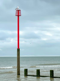 Scenic view of sea against sky and seagull