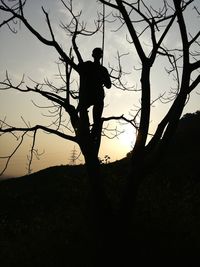 Silhouette of woman at sunset