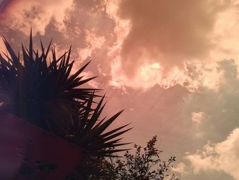 Low angle view of tree against sky
