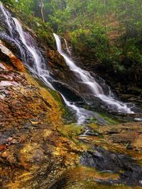 Stream flowing through rocks in forest