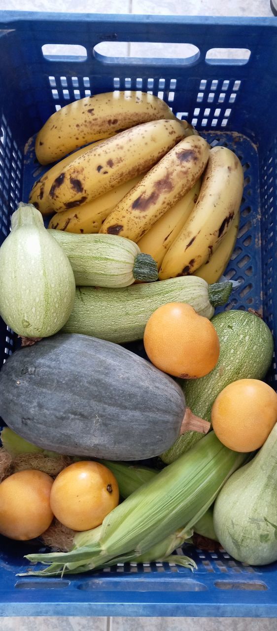 food and drink, food, healthy eating, freshness, wellbeing, fruit, vegetable, container, banana, produce, no people, high angle view, still life, plant, directly above, basket, indoors, variation, summer squash, raw potato, organic