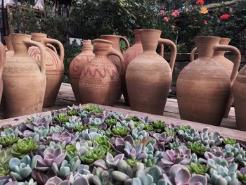 Close-up of cactus and pots in garden