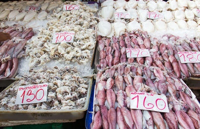 Graffiti on fish for sale at market stall