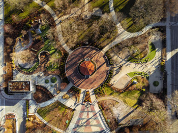 High angle view of plants by trees