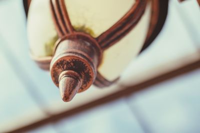 Close-up of snail on metal