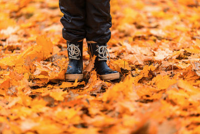 Low section of man standing on autumn leaves