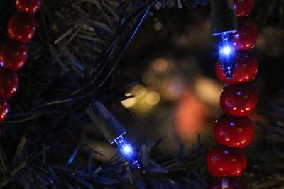 Close-up of illuminated christmas tree at night