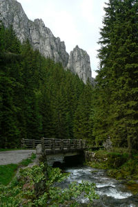 Scenic view of waterfall in forest against sky