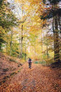 Man cycling on bicycle during autumn